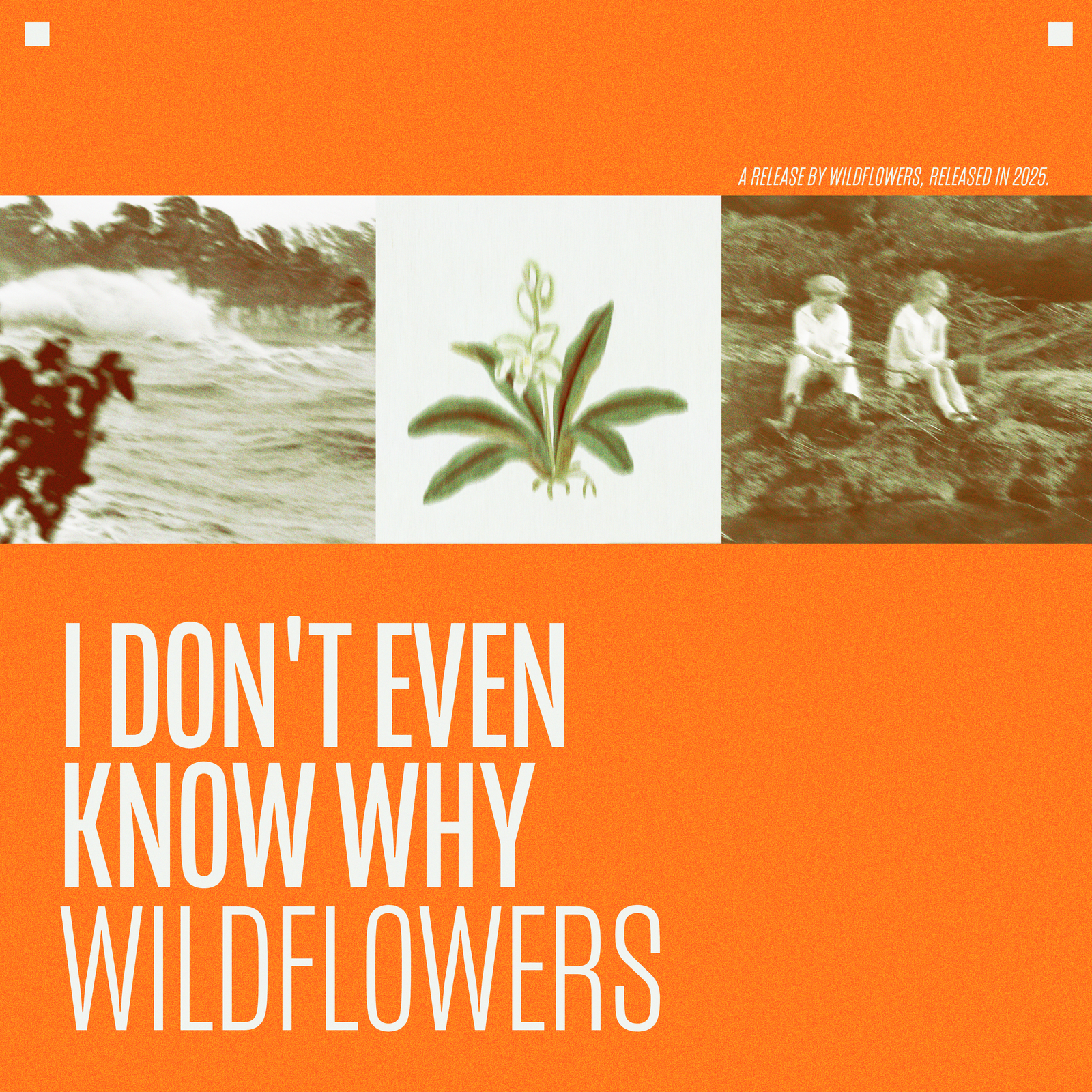 I Don't Even Know Why