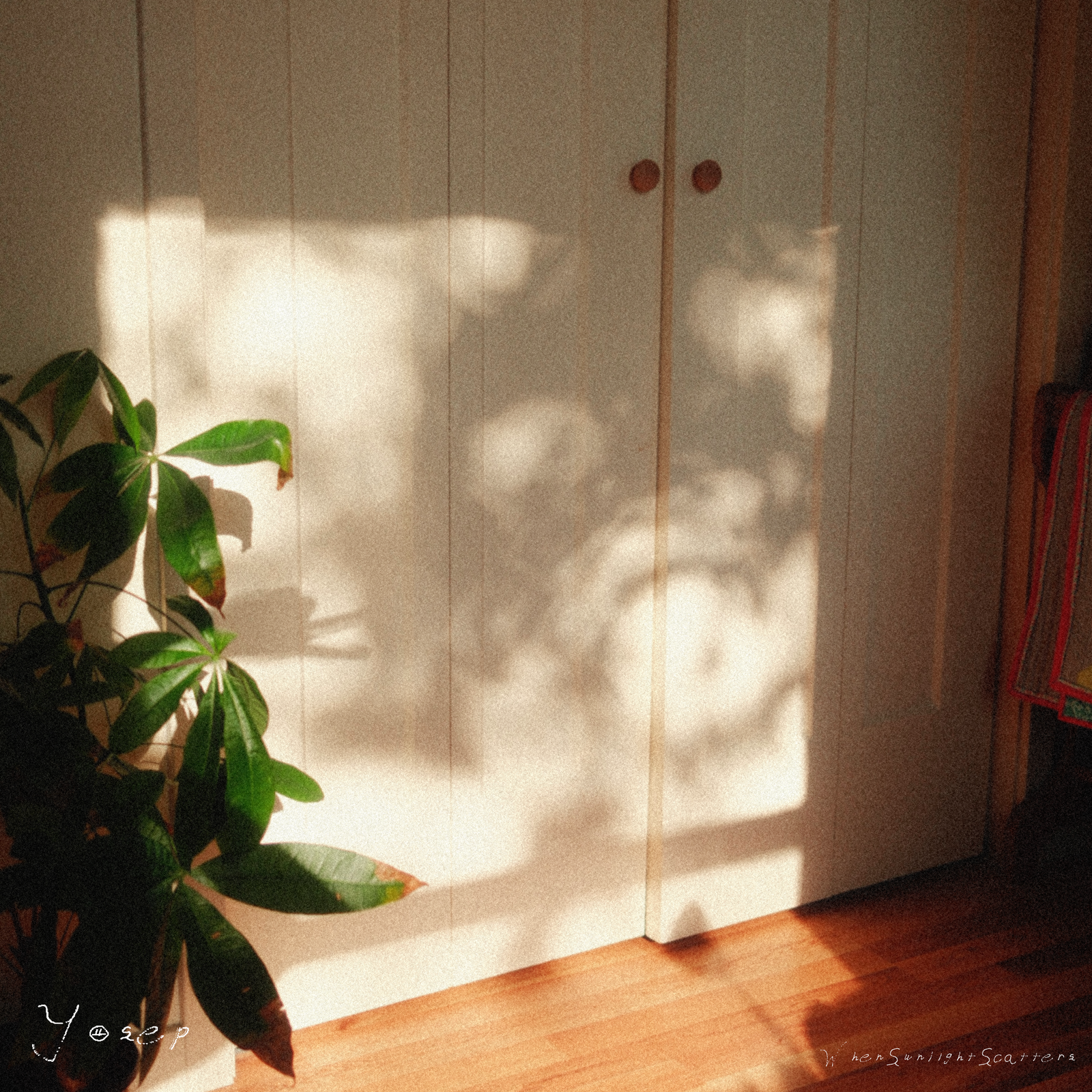 when sunlight scatters