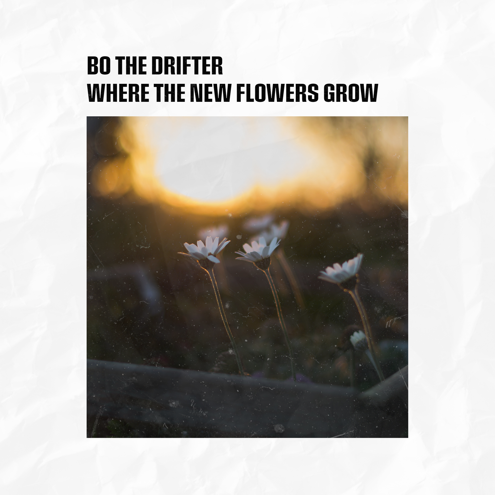 Where the New Flowers Grow