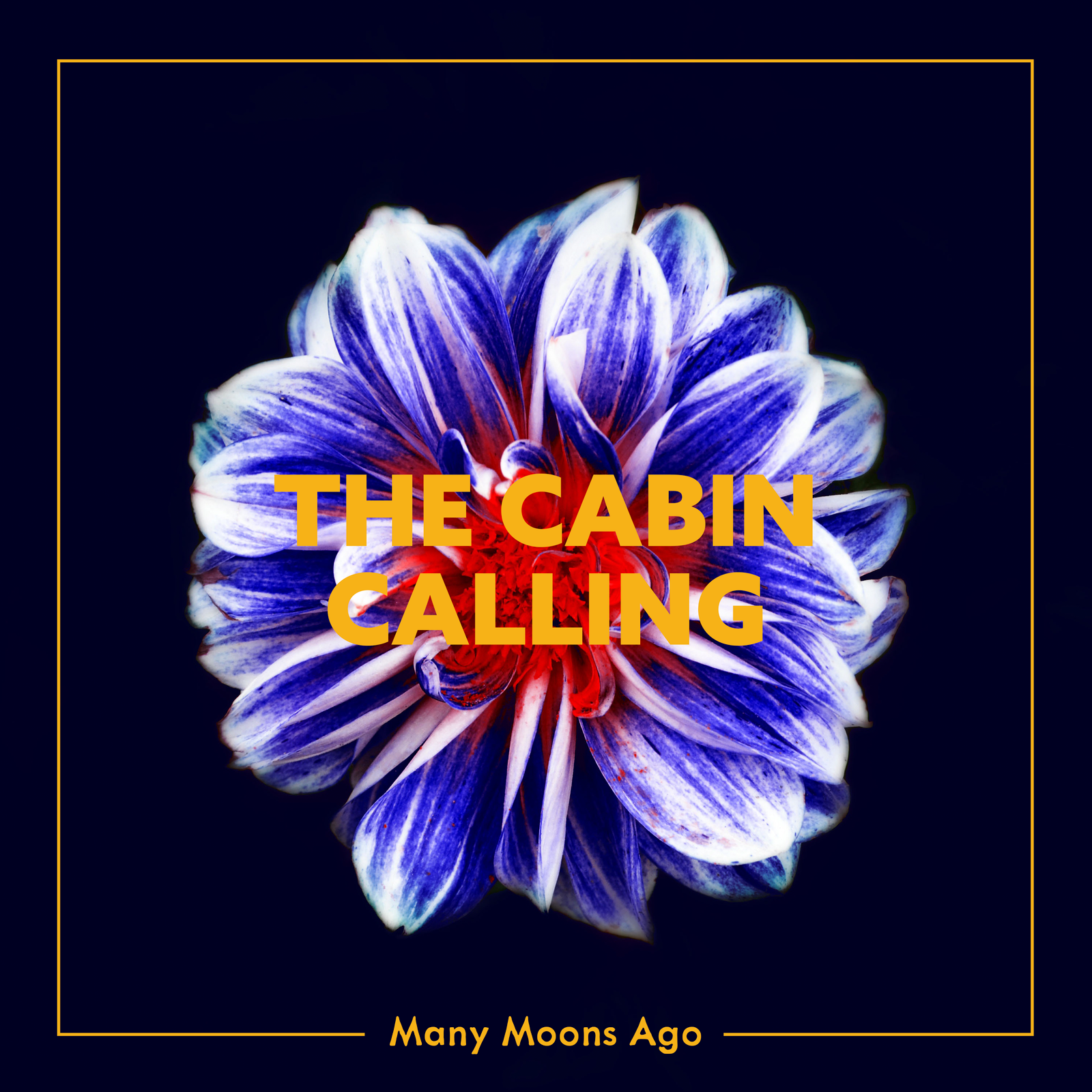 Who Knows What's Next