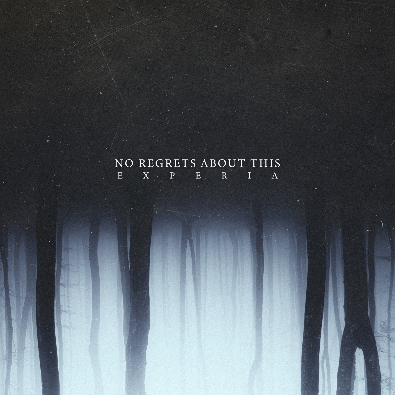 No Regrets about This