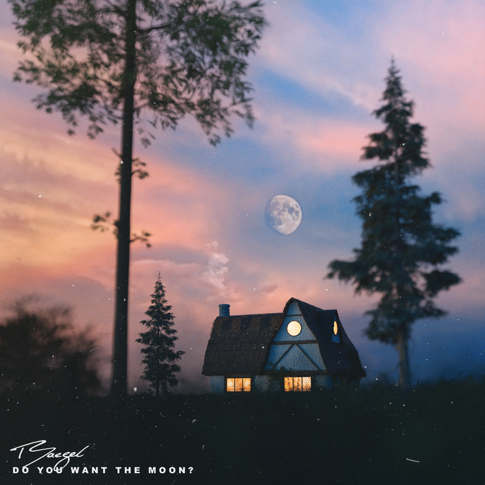 do you want the moon