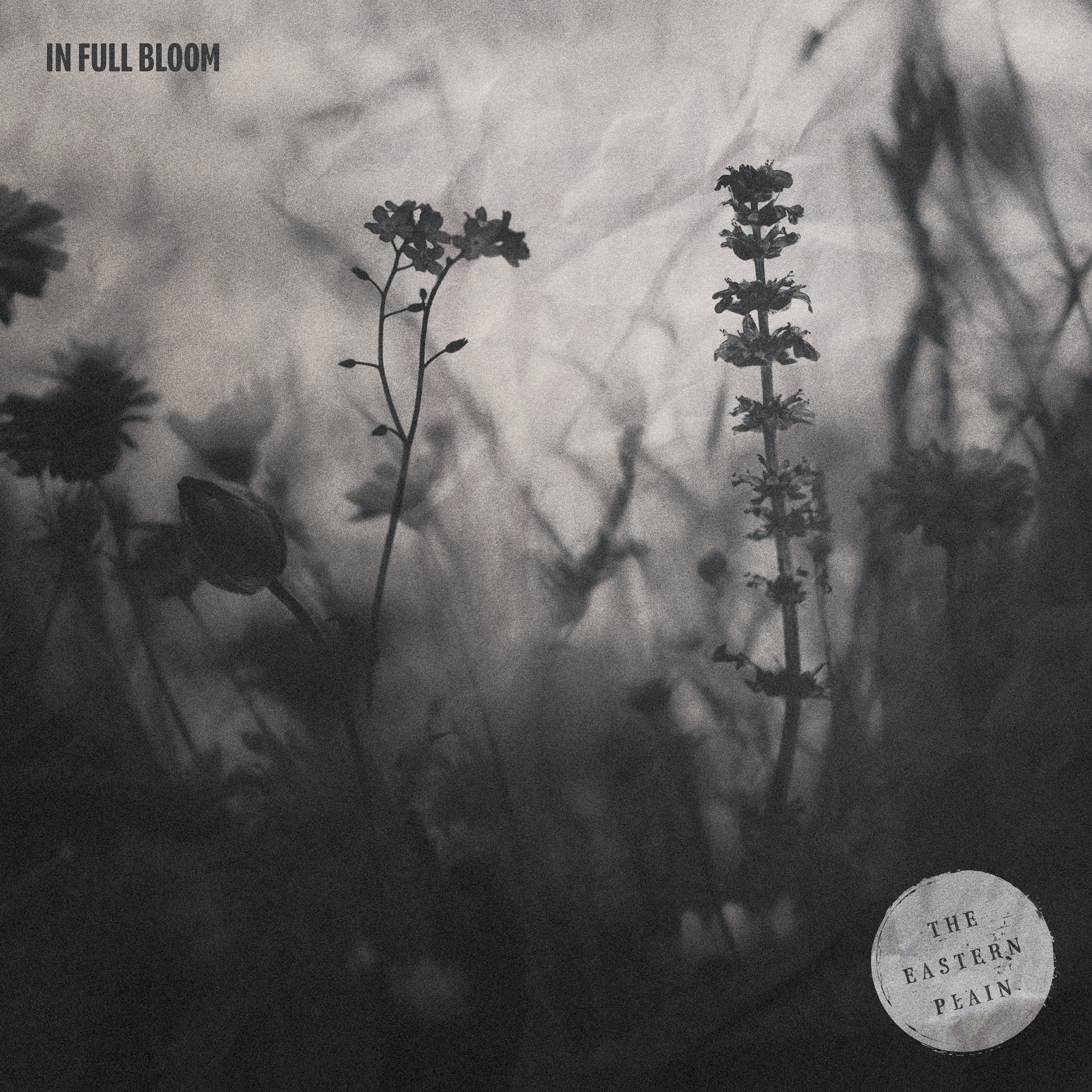 In Full Bloom (Instrumental Version)