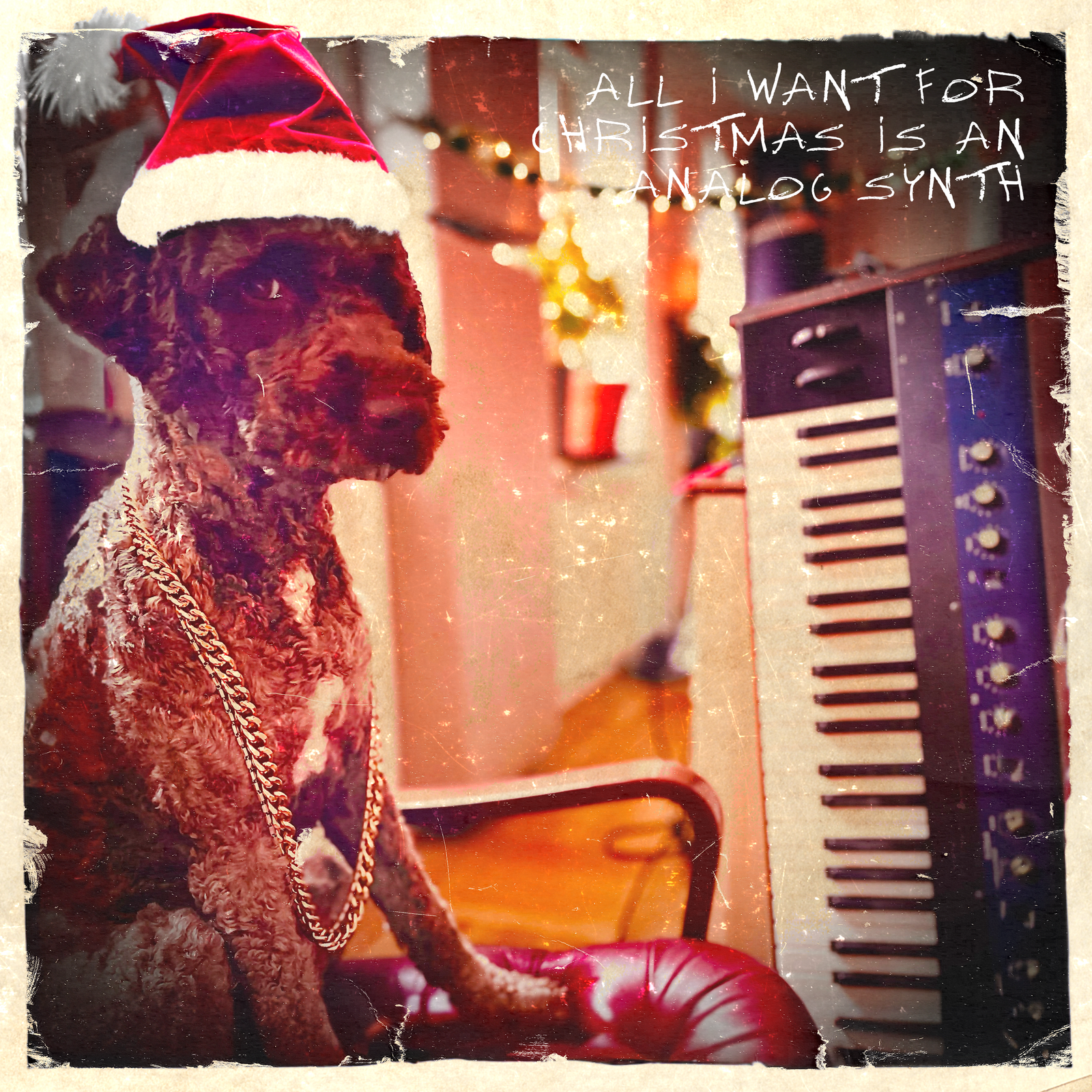 All I Want for Christmas Is an Analog Synth