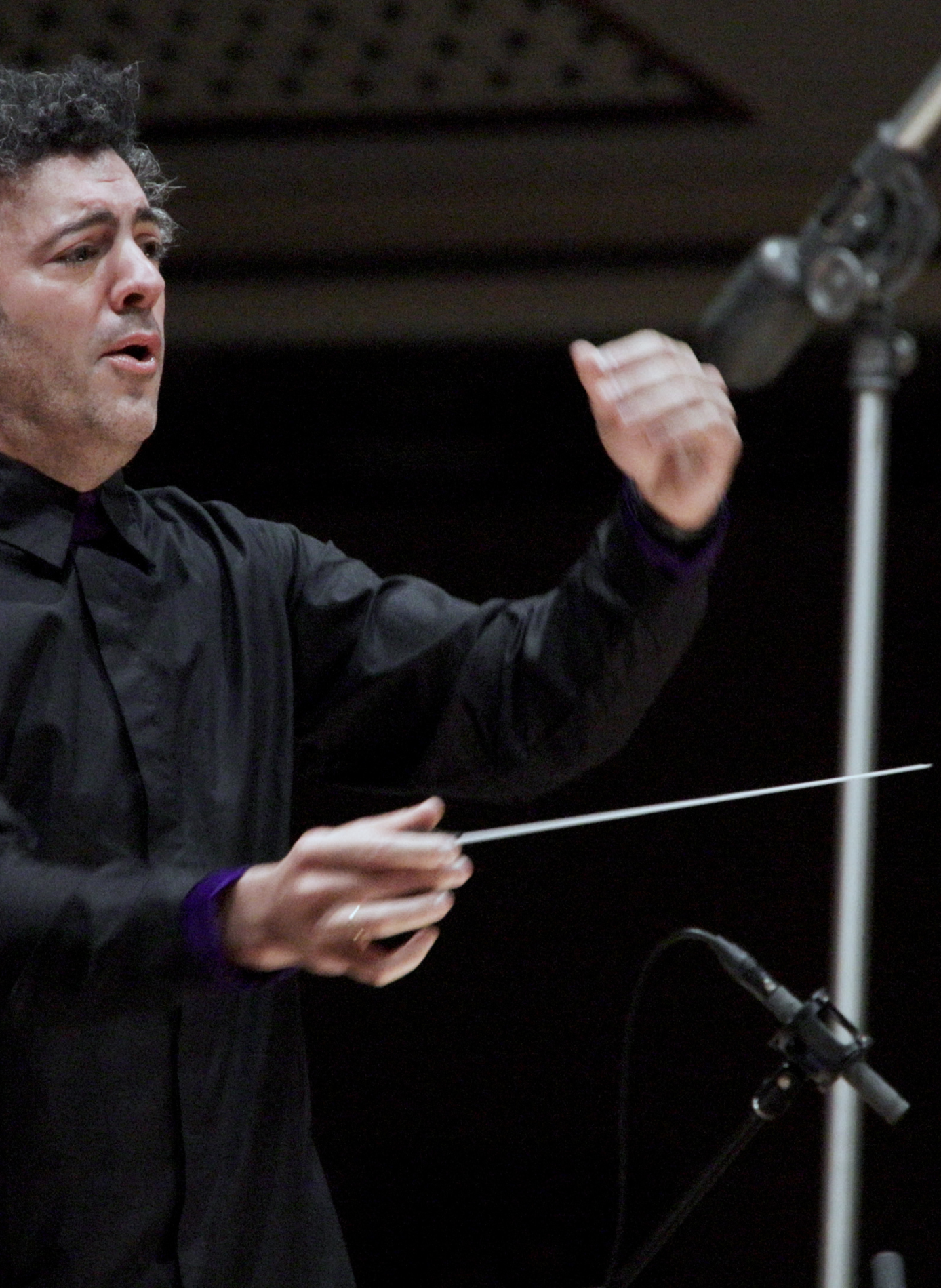 A classical orchestra performing