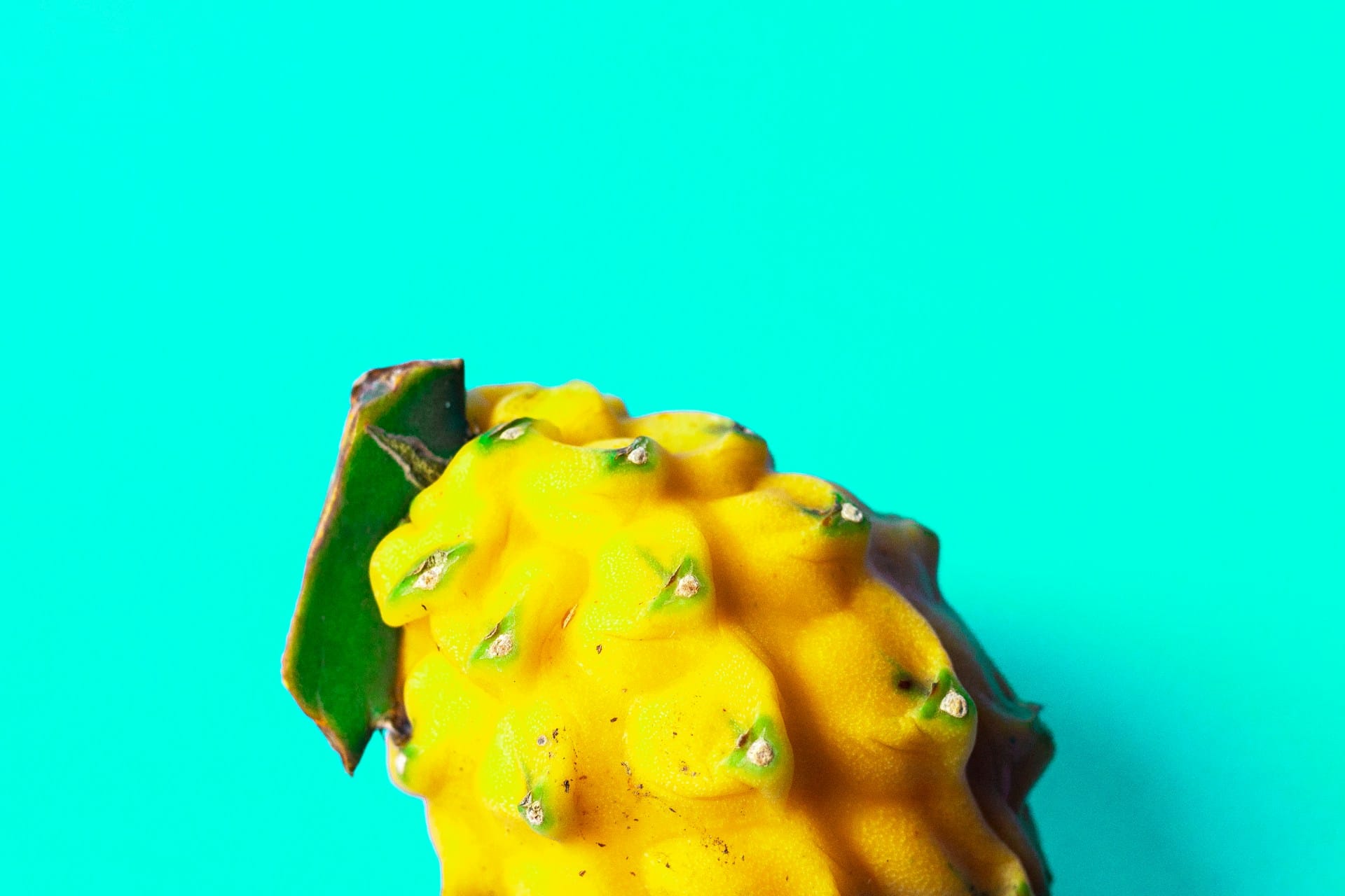 Dragonfruit