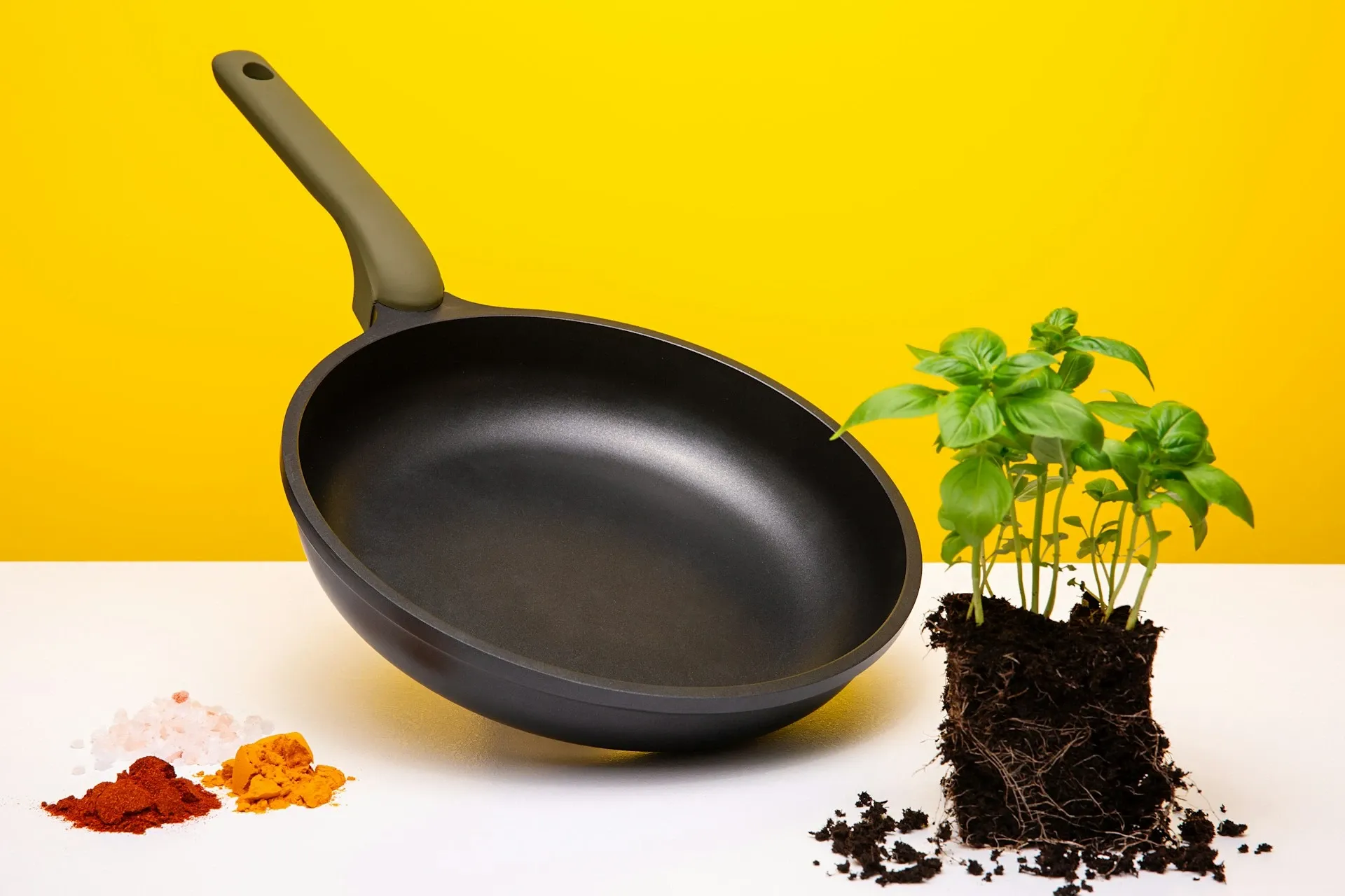 Frying pan next to a plant