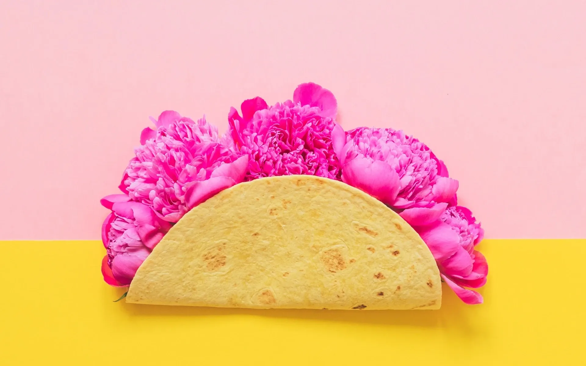 A tortilla full of flowers